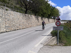 12023_Vignes