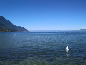 12081_Lac-Léman