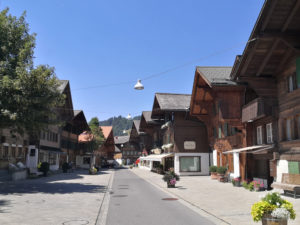 13016_Saanen