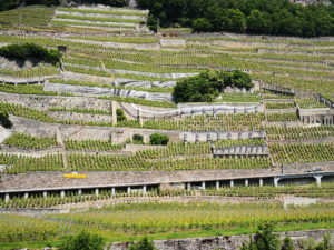 13032_Aigle-Les Murailles