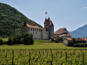 13033_Aigle-Chateau