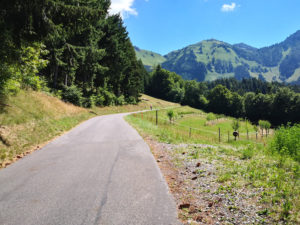13051_Montée