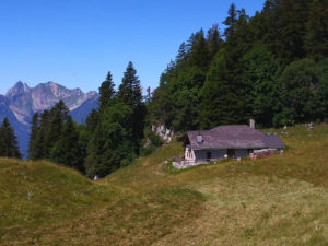 13055_Hutte