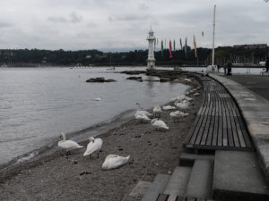14012_Plage
