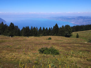 Lac de l'Hongrin